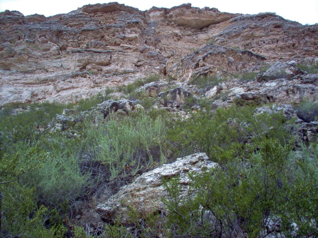 Image shows a tall, rugged cliff of whitish-gray limestone. It's pitted and riddled with small caves. Blocks of it have fallen to the valley floor. Scrubby desert bushes have grown up between the blocks.
