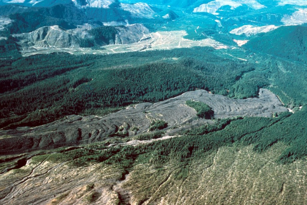 Image shows a forested mountain flank with a long, narrow, dark gray lava flow spilling down it. There are a few places within the flow where thick patches of trees have survived. There are several clear-cut areas visible in the distance.