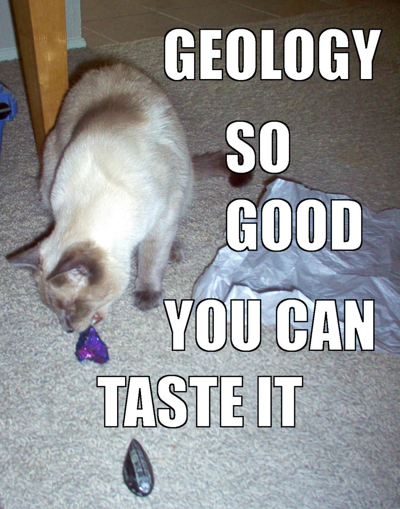 Image shows a seal-point Siamese cat sitting in front of a boronite rock. It's bending down to taste the boronite! Caption says, "Geology so good you can taste it."