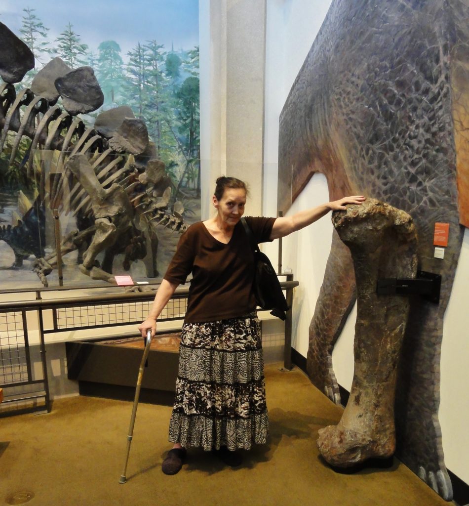 Image shows Suzanne, an older lady in a brown blouse with a brown patterned peasant skirt, standing beside a sauropod thigh bone almost as tall as she is.