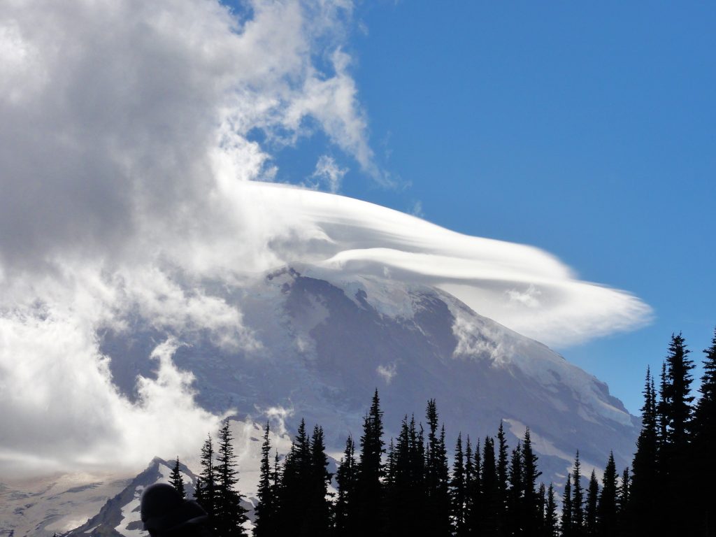 Image shows Mount Rainier's summit, with a forest of firs in the foreground. On the left of the picture, there's nothing but frothy white and gray clouds. Behind those clouds, half of the summit is visible, capped by a lenticular cloud that is sitting right on top of the mountain. It looks like the brim of a haute couture newsboy cap. Behind it is pure blue sky.