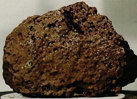 Image shows a small chunk of brown vesicular basalt. It looks very much like a sample you could collect in many volcanic fields on Earth.