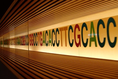 Photo of a backlit sign consisting of stripes and DNA sequence represented in letters (TTAGCACC, etc.).