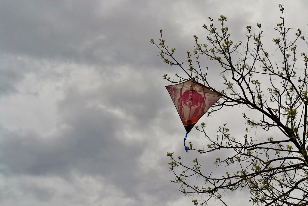 Dark gray clouds fill the left two thirds of the photo. On the right margin, a small diamond-shaped kite decorated with the drawing of a red metal mask from the Transformers cartoon, is stuck in the branches of a tree. The branches extend from the right margin, no tree trunk is visible.