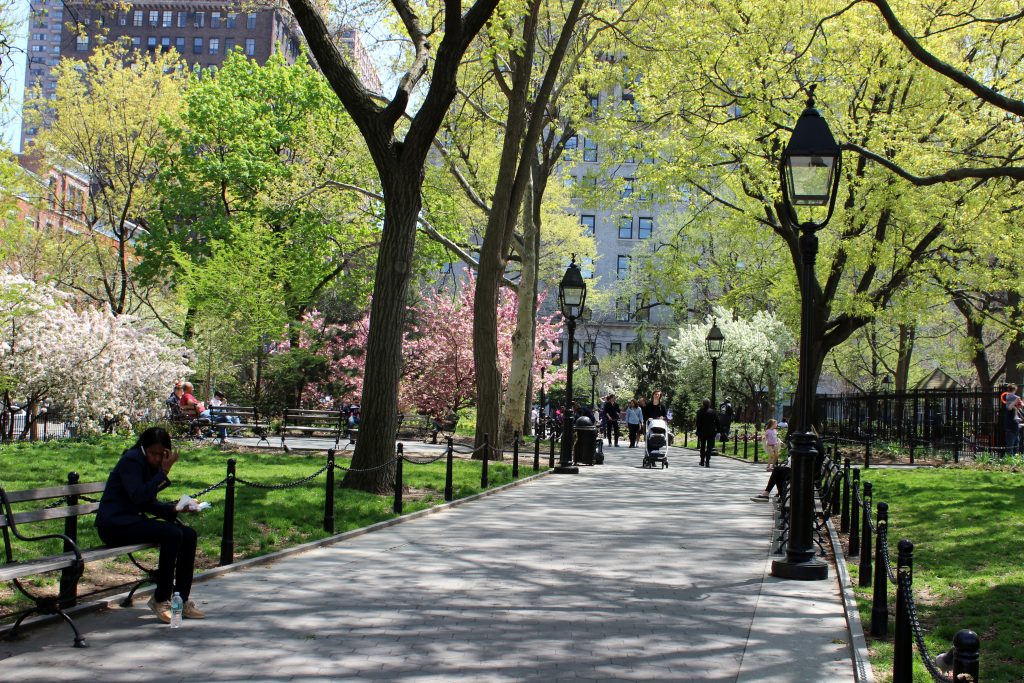 Washington Square Park, spring.