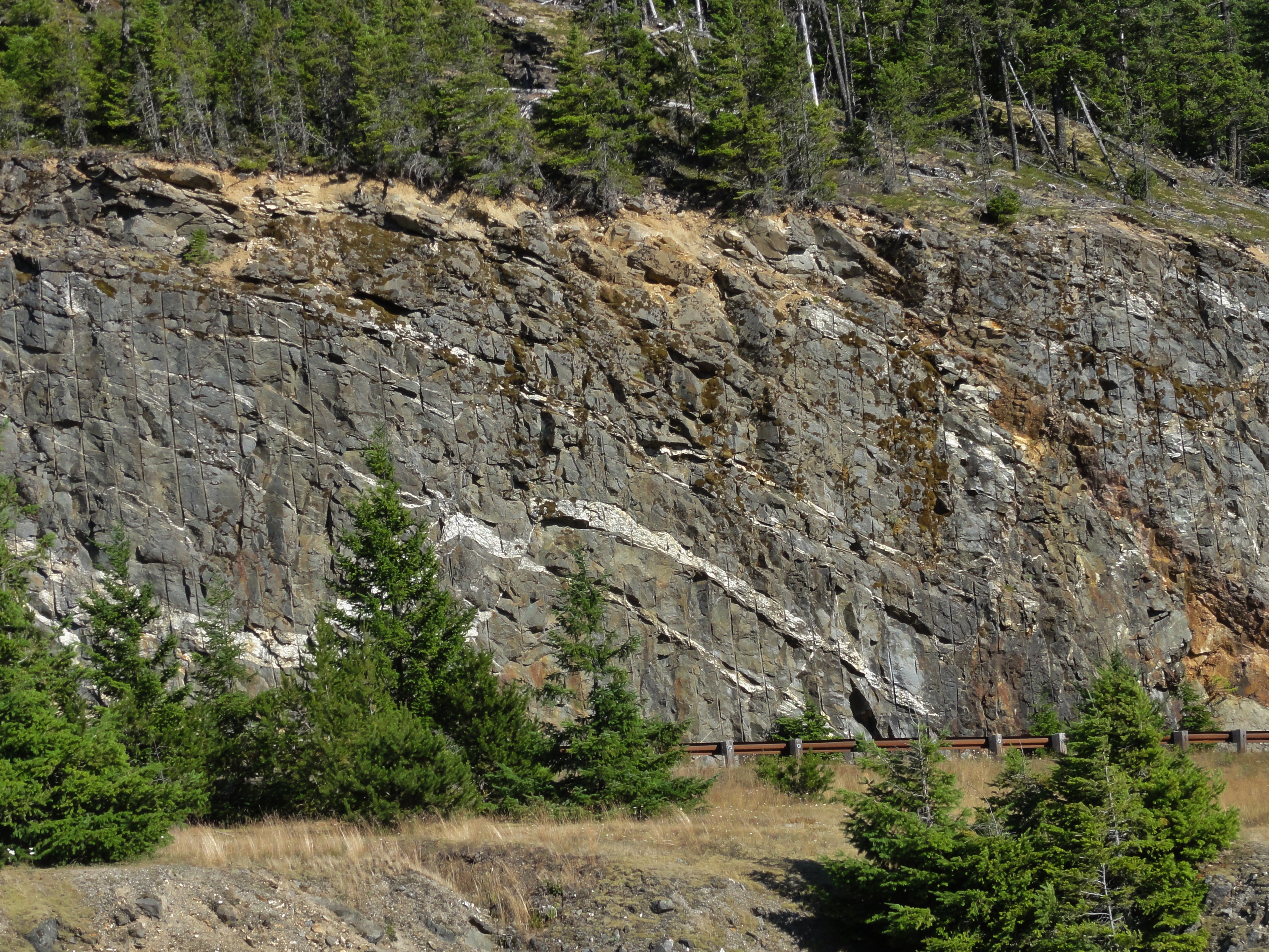 Roadcut through Skagit Gneiss. White streaks are granitic pegmatite dikes.