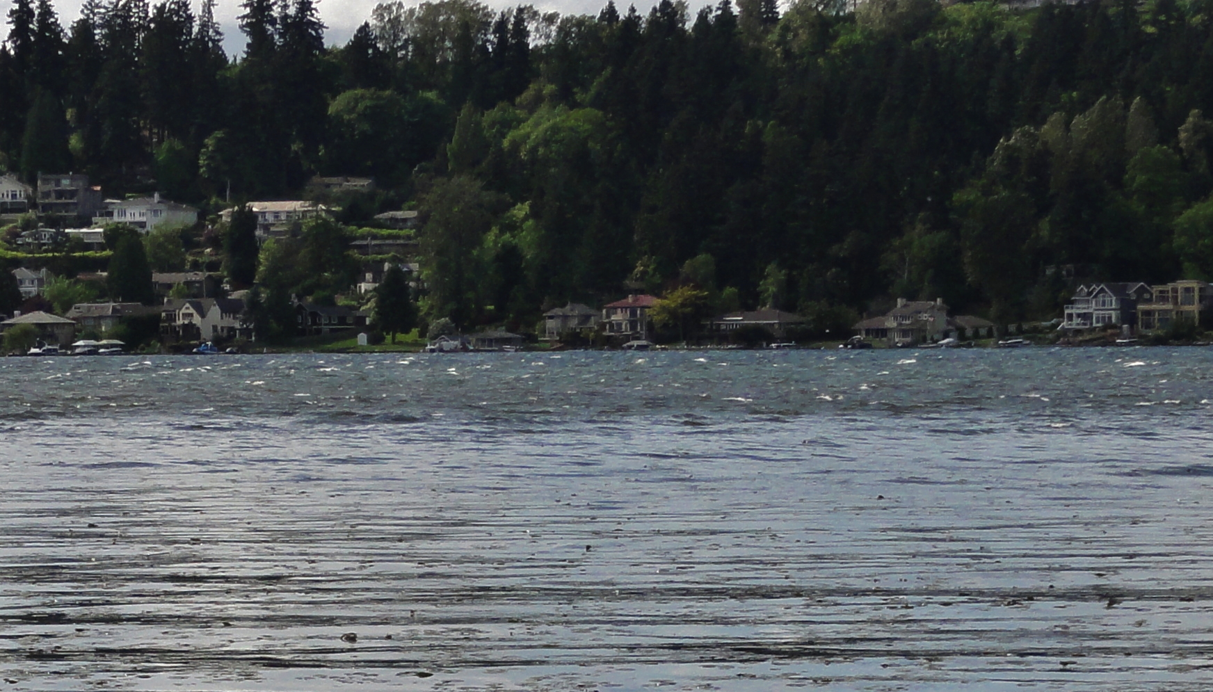 Whitecaps on Lake Washington.