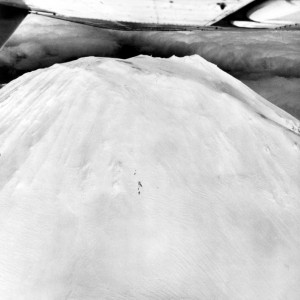Image shows the underside of an airplane wing at the top. Below the wing is the snow-capped summit of Mount St. Helens.