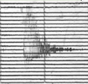 Image shows a clip from a seismograph. The trace to the left is tall and covers several of the lines, gradually narrowing towards the right.