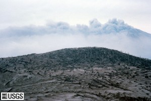 Image shows a hill within the blast zone. All of the trees have been stripped of their branches and are either lying on the ground or, where standing, are broken off. Mount St. Helens is barely visible behind the hill in a cloud of ash.