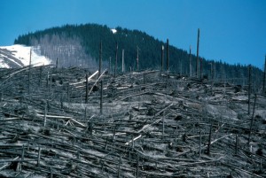 Color image on a sunny day shows a devastated hilltop. Most of the trees are down. Some are still standing, stripped of branches. In the distance, a taller hill rises. Part of it is covered in thick green forest. On its left slope is a scorched zone of downed and singed timber, reaching almost to the top of the hill.
