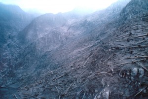 Image shows a hillside within the devastated area. The trees are all down, covered in ash. The air is hazy, possibly with windblown ash.