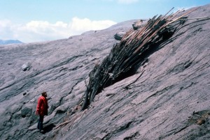 Image shows a man standing on a slope in front of a bundle of huge splinters that used to be a tree. It's bowed against the ash-covered hillside as if laid out by a powerful wind, and is at least three times the length of the man.