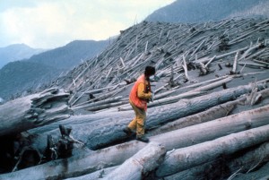 Image shows a man walking among huge downed trees on a mountainside. All of the hillsides within view are thick with downed timber: there are no trees left standing.