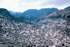 Image is looking across a valley full of downed trees. There are ridges in the background that still have standing trees.