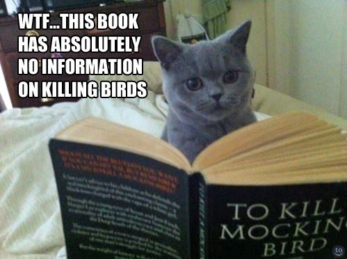 Image shows a gray cat reading a copy of To Kill a Mockingbird. Caption says, "WTF... This book has absolutely no information on killing birds."