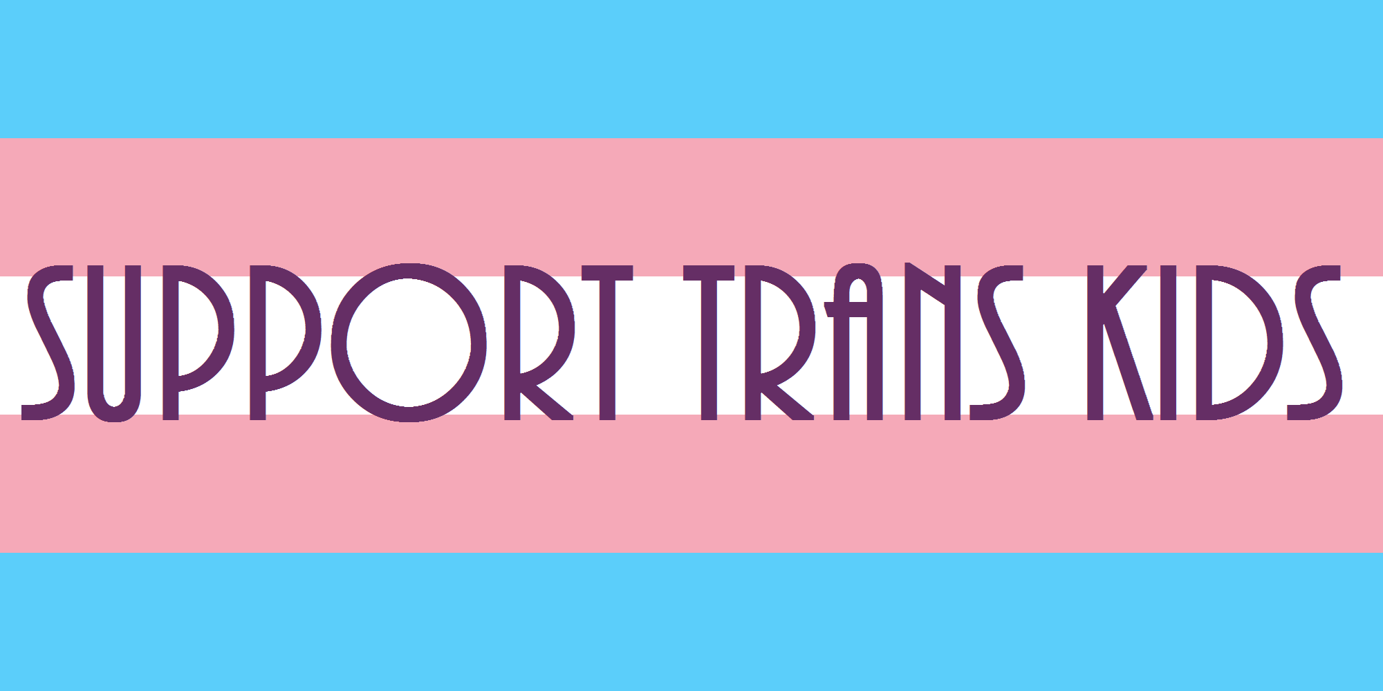 Image is a graphic of the trans flag, which has sky blue bars at the top and bottom, pink bars next, and a white bar in the middle. Caption across the middle says Support Trans Kids.