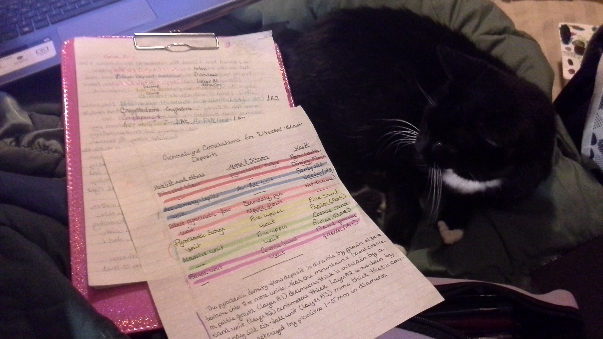 Image shows two pages full of the colors being used for this set of notes. Misha is lying beside them.