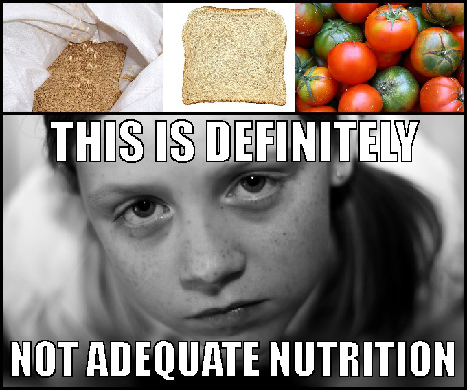 Image shows a sack of wheat, a slice of white bread, and a bunch of tomatoes in varying stages of ripeness across the top. A black and white image of a freckled girl with a disappointed look on her face is at the bottom. Caption says, "This is definitely not adequate nutrition."