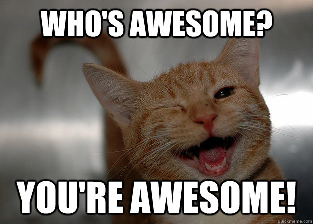 Image shows an orange tabby winking at the camera with its mouth open. Caption says, "Who's awesome? You're awesome!"