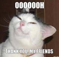 Image shows a white cat with gray spots on its head, looking at the camera with narrowed eyes. Its mouth looks like it's smiling. Caption says, "Oooh, thank you, my friends!"