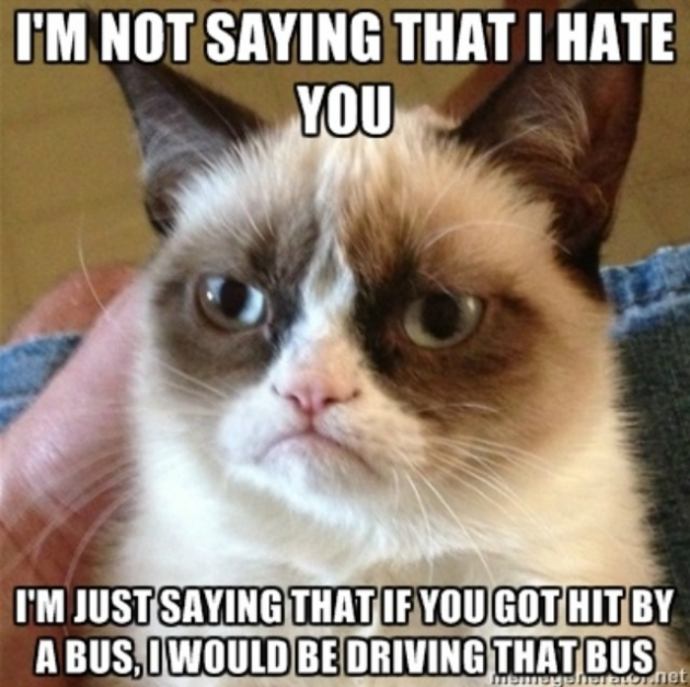 Image shows Grumpy Cat looking typically grumpy. Caption says, "I'm not saying that I hate you. I'm just saying that if you got hit by a bus, I would be driving that bus."
