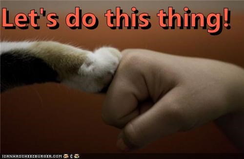 Image shows a person's fist and a cat's paw touching like they're doing a fist bump. Caption says, "Let's do this thing."