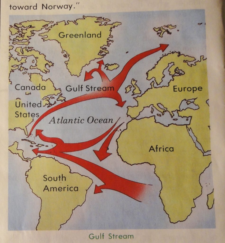 Image shows a simple drawing of the Atlantic Oceans, with the continents of Africa, part of Europe, Greenland, part of North America, and all but the very southern tip of South America visible. They've tried to draw the Gulf Stream with thick red arrows. They have pretty much completely failed. It's a jumble of unconnected lines.