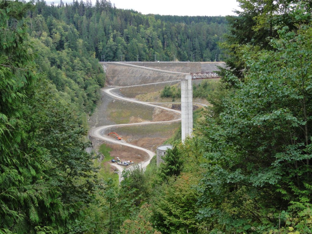 Image shows the upstream side of an earthen dam in a forested canyon. The dam actually looks like a small, triangular hill with the base at the top. A dirt road zig-zags up the middle. There is a concrete tower visible on the right.