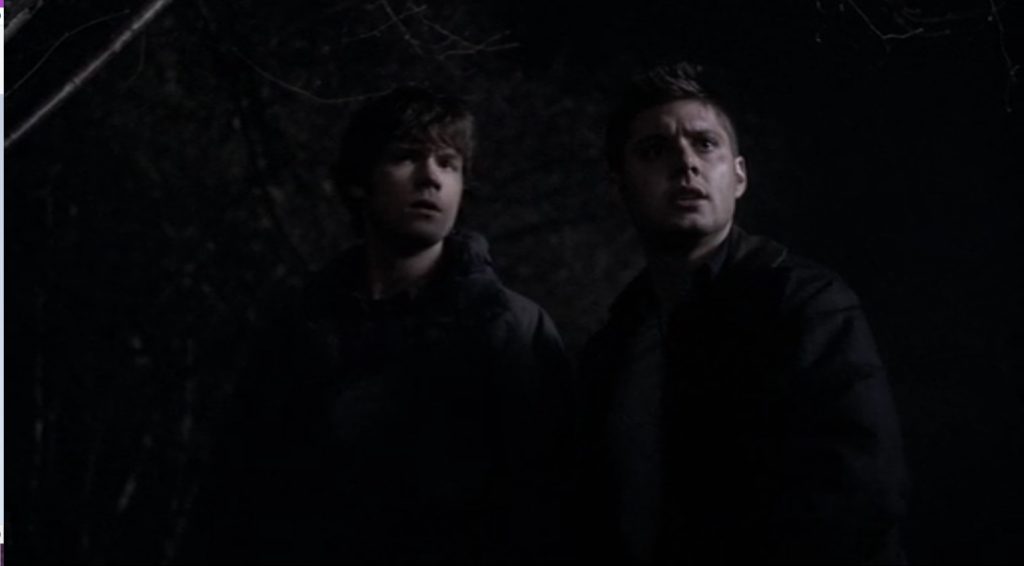 Image shows Sam and Dean standing together in the dark, their faces just visible. Dean looks up toward the camera in horrified consternation. Sam looks half at him and half at the camera with a more puzzled look.