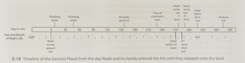 Image is a simple timeline. There is an outlined bar in the middle showing a strip of numbers that represent Days in the Ark. Beneath it is a line of numbers and vertical lines representing Year and Month of Noah's Life. It starts at 600. At Day 0, Noah moves aboard Ark. Flooding starts shortly after. Flooding stops between 30 and 60 Days in the Ark, when Noah is 600 years, three months and a few weeks old. The Ark goes aground just after Day 150. Tops of mountains seen between 210 and 240 days. Noah sends out raven at 270 days, 1st dove a few days later, second dove; olive leaf between 270 and 300, 3rd dove shortly after. Noah opens Ark's roof at 601 years old, between 300 and 330 days. All leave Ark between days 360 and 390.