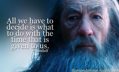 Image is a screenshot of Gandalf from Lord of the Rings. He is facing the camera, but looking somberly off to one side. Beside him is the caption, "All we have to decide is what to do with the time that is given to us."