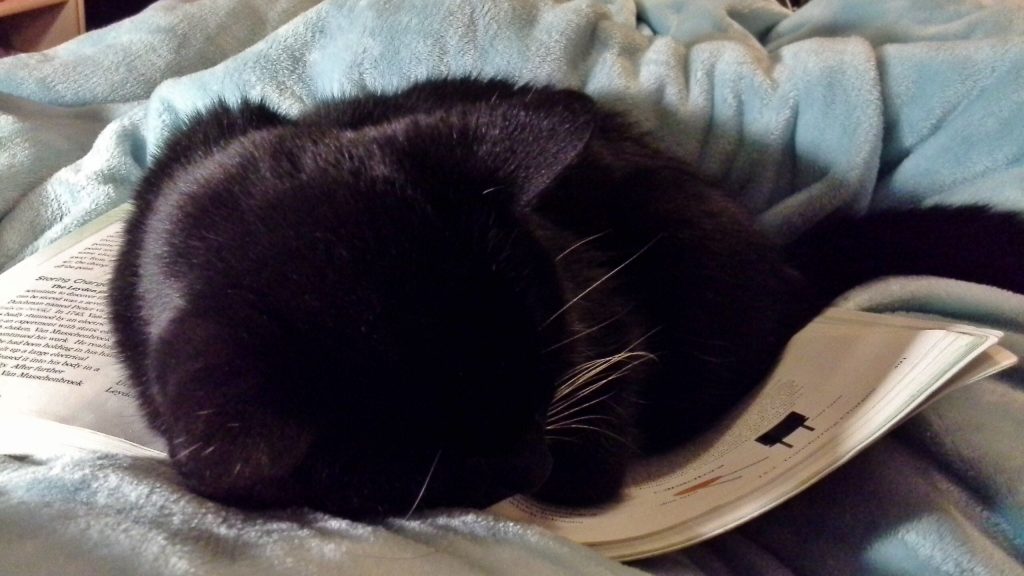 Image shows a black cat curled up on an open textbook.