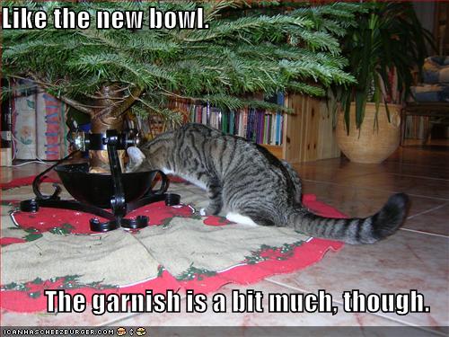 Image shows a gray tabby cat drinking out of the Christmas tree stand. Caption reads, "Like the new bowl. The garnish is a bit much, though." 