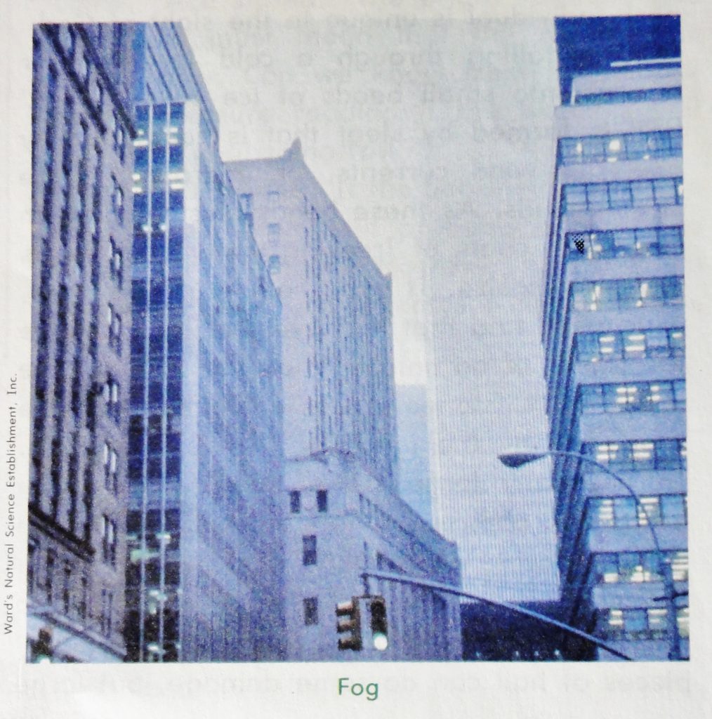 Image shows downtown highrises. It's captioned "Fog," but there's little evidence of fog. The photo just looks a touch over-exposed.