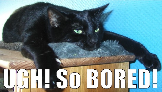 Image shows a black cat plopped down atop a carpeted perch with wooden sides. It's got its front legs draped over the sides and its chin down in the carpet. Its green eyes gaze into the distance with a very bored expression. Caption says, "UGH! So BORED!"