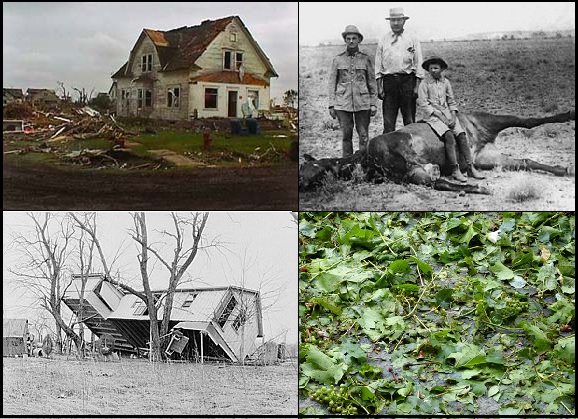 Image shows four photos. At the top left is a two story farmhouse that has had bits of it ripped off by a tornado. At the top right, two men stand by a horse lying on its side while a boy sits on it. At the bottom right, fragments of grape vines, leaves, and grapes lie broken and soaked on the ground. On the bottom left, a house has been upturned and flung into a stand of trees by flooding.