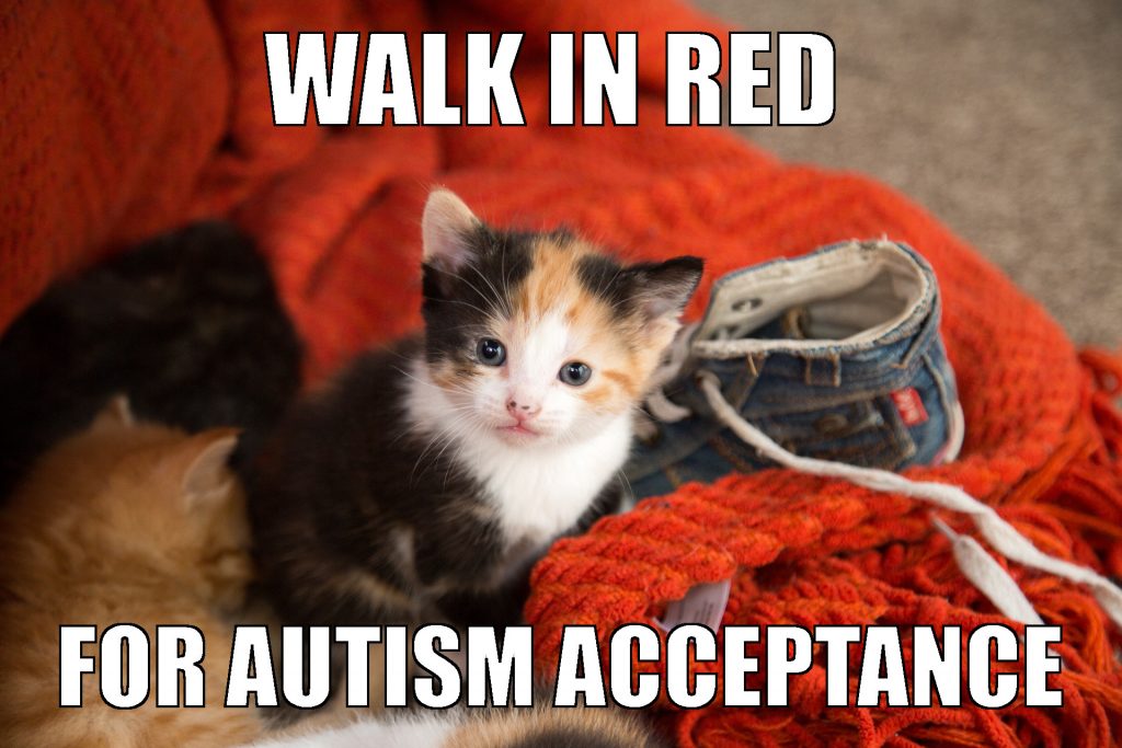 Image shows a tiny calico kitten sitting on a red-orange knitted scarf beside a Converse sneaker. Caption says "Walk in red for autism acceptance."