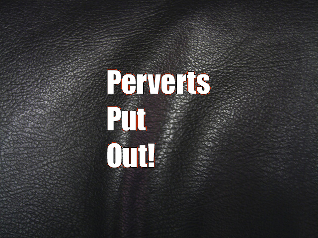 perverts out out on black leather