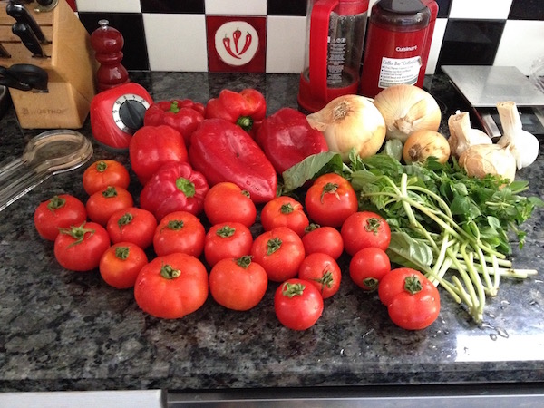 Ingredients for roasted tomato sauce tomatoes red bell peppers garlic onions fresh basil fresh oregano