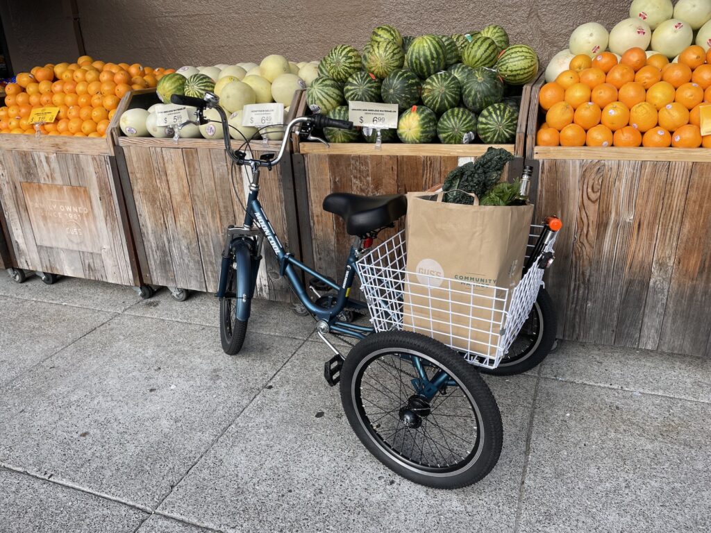 Greta's adult trike with grocery bags in cargo basket, in front of produce stands