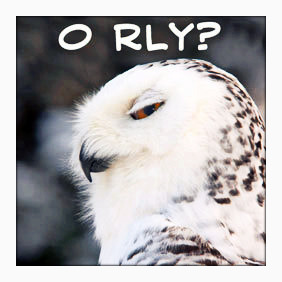 skeptical-looking owl saying "O RLY?"