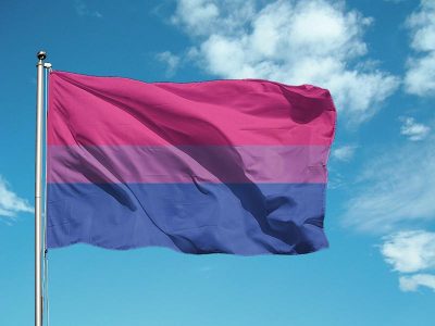 Image Description: the bisexual pride flag on a pole, swaying in the wind against the sky as a backdrop